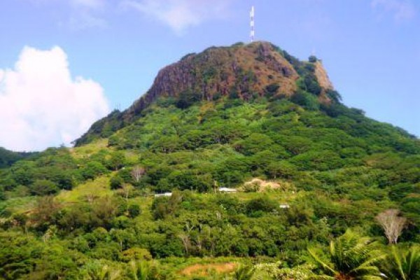 Mount_Temehani_The_Only_place_the_Tiare_Apetahi_will_grow