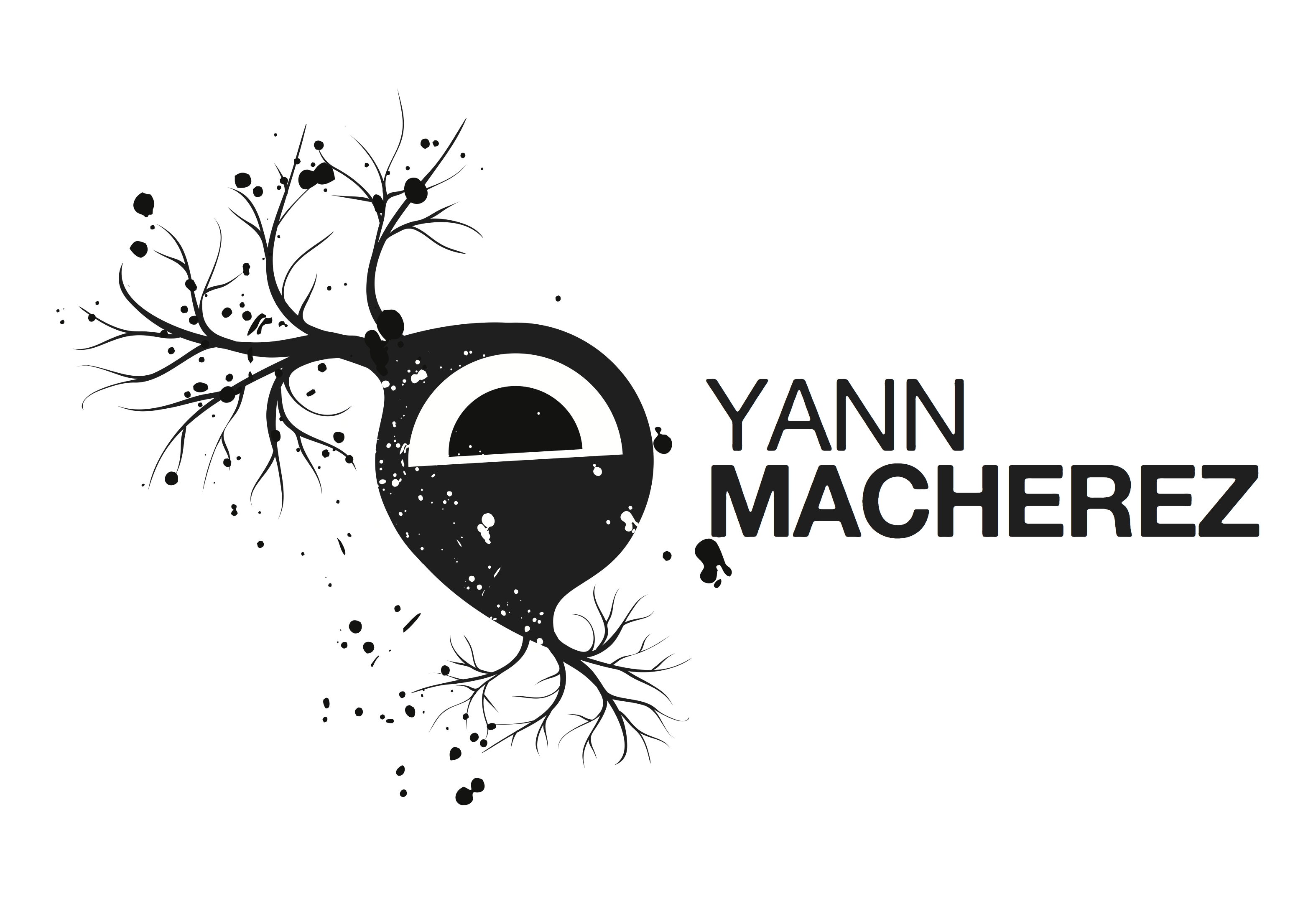 Yann Macherez - Photographe